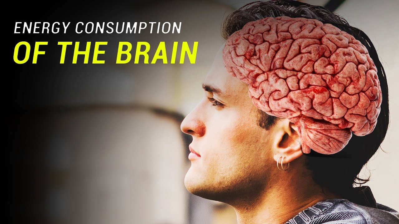 The latest scientific achievements on the energy consumption of the brain in different conditions